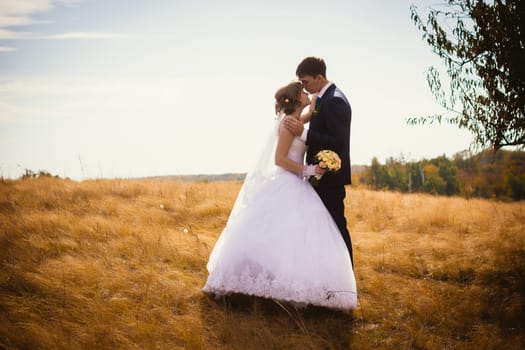 young bride and groom on the background of the field