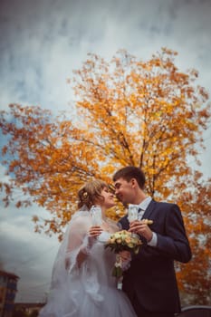 young bride and groom on the background of the autumn landscape