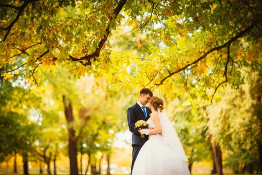 young bride and groom on the background of autumn landscape
