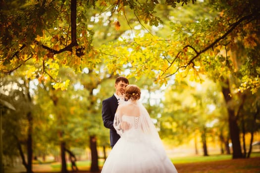 young bride and groom on the background of autumn landscape