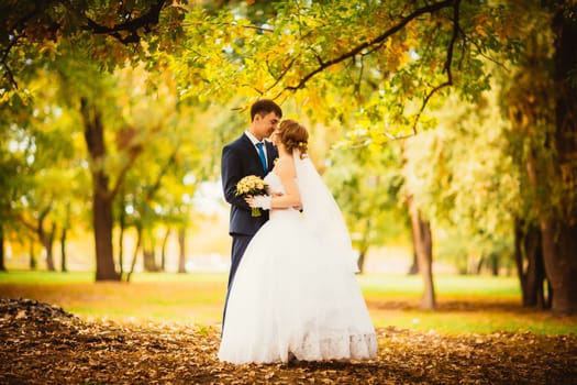 young bride and groom on the background of autumn landscape