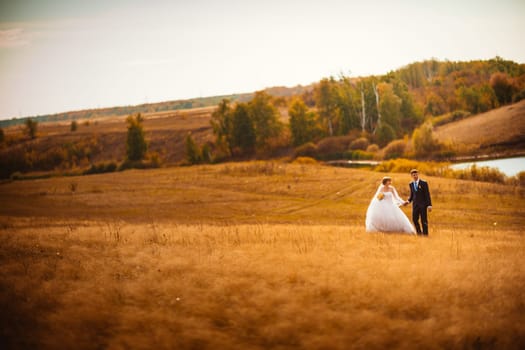 young bride and groom on the background of the field
