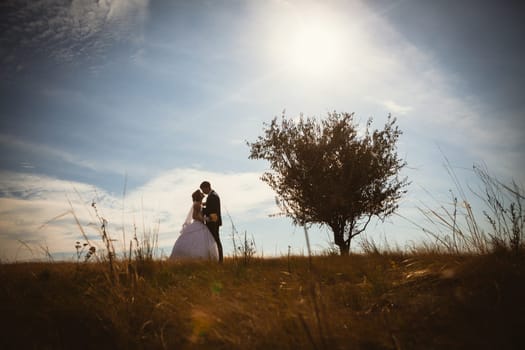 young bride and groom on the background of the field