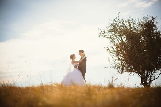 young bride and groom on the background of the field