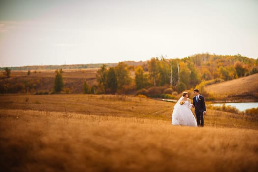 young bride and groom on the background of the field