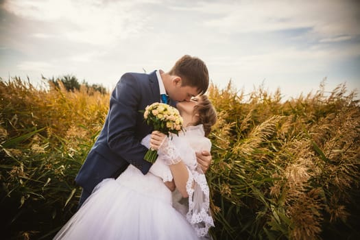 young bride and groom on the background of the field