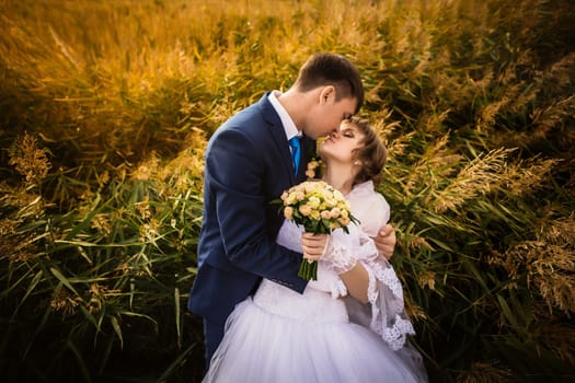 young bride and groom on the background of the field