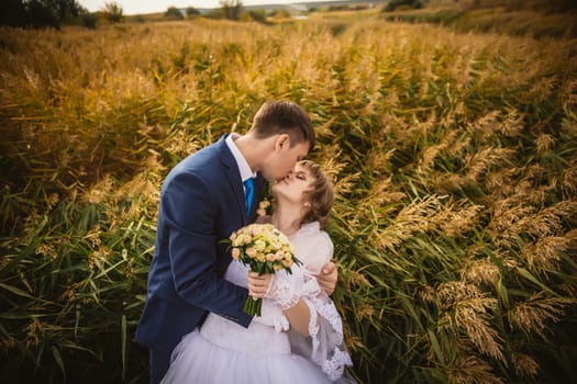 young bride and groom on the background of the field