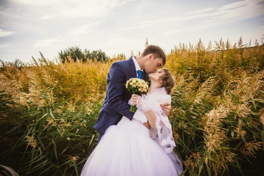 young bride and groom on the background of the field