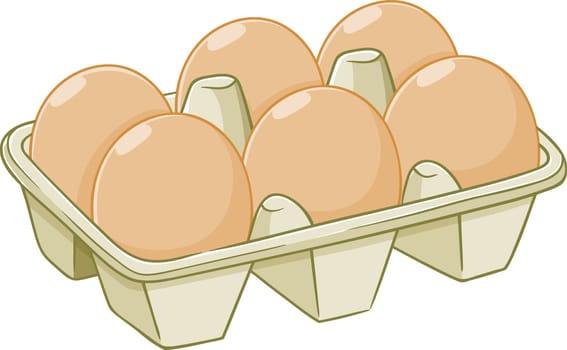 egg cardboard food breakfast healthy fresh protein illustration