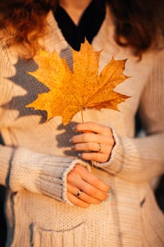 girl holds autumn leaves on the background of autumn forest