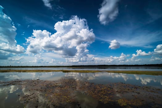 Reflection Lake With Cumulus Clouds, idyllic landscape with standing water