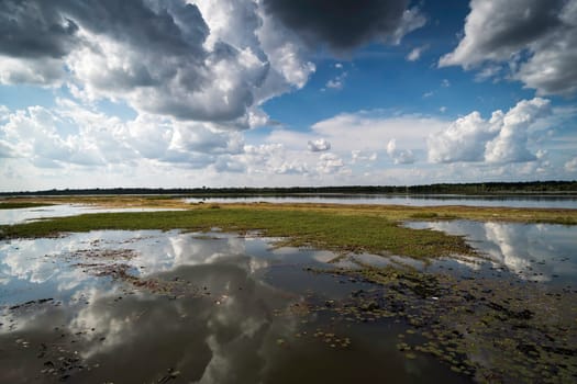 Reflection Lake With Cumulus Clouds, idyllic landscape with standing water