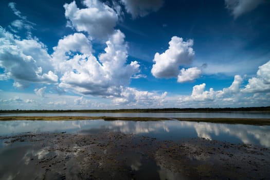 Reflection Lake With Cumulus Clouds, idyllic landscape with standing water