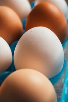 fresh rural eggs in a blue plastic bag