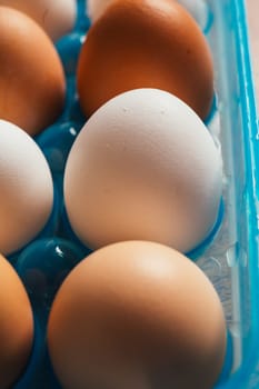 fresh rural eggs in a blue plastic bag