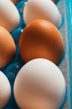 fresh rural eggs in a blue plastic bag