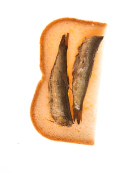 sandwich with of sprats on a isolated background