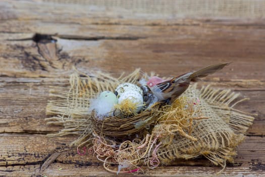 Easter decoration -  eggs in nest and bird