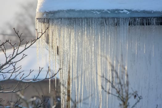 The roof of a house covered with snow and icicles. Icicles hanging from roof. Winter in Latvia. White snow on the roof and icicles hanging from a slate roof.