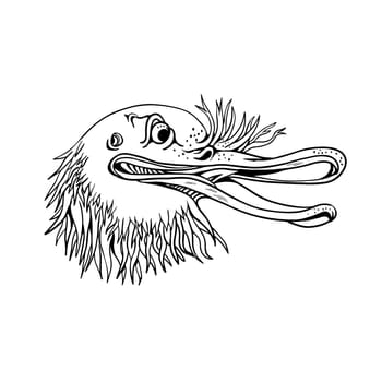 Cartoon and graffitti style illustration of an angry and aggressive kiwi head, a flightless bird native to New Zealand, looking to side on isolated background in black and white.