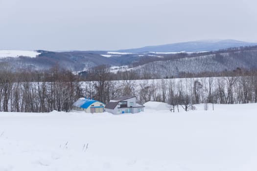 Biei is a small town surrounded by a picturesque landscape of gently rolling hills and vast fields. A pleasant way to enjoy the charm of Biei is by cycling or driving through the hills and visiting some of the flower fields and famous trees along the way.