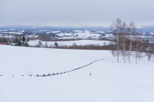 Biei is a small town surrounded by a picturesque landscape of gently rolling hills and vast fields. A pleasant way to enjoy the charm of Biei is by cycling or driving through the hills and visiting some of the flower fields and famous trees along the way.