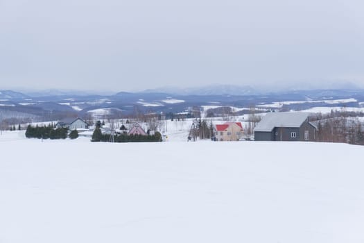 Biei is a small town surrounded by a picturesque landscape of gently rolling hills and vast fields. A pleasant way to enjoy the charm of Biei is by cycling or driving through the hills and visiting some of the flower fields and famous trees along the way.