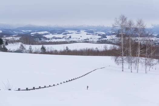 Biei is a small town surrounded by a picturesque landscape of gently rolling hills and vast fields. A pleasant way to enjoy the charm of Biei is by cycling or driving through the hills and visiting some of the flower fields and famous trees along the way.