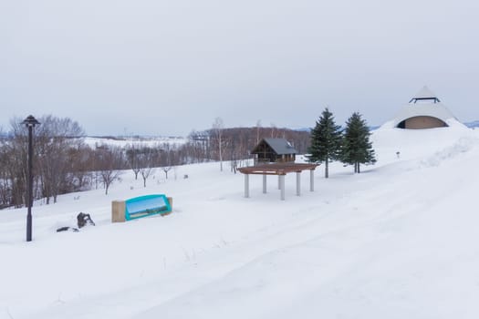 Biei is a small town surrounded by a picturesque landscape of gently rolling hills and vast fields. A pleasant way to enjoy the charm of Biei is by cycling or driving through the hills and visiting some of the flower fields and famous trees along the way.