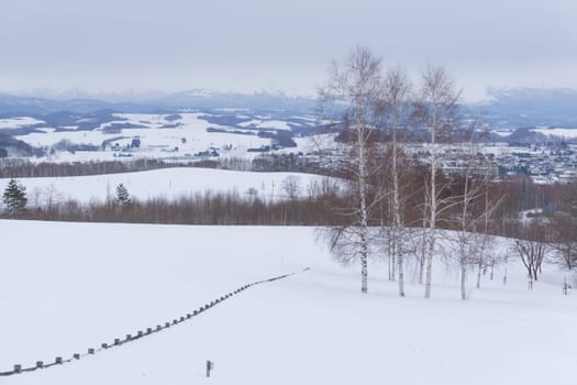 Biei is a small town surrounded by a picturesque landscape of gently rolling hills and vast fields. A pleasant way to enjoy the charm of Biei is by cycling or driving through the hills and visiting some of the flower fields and famous trees along the way.