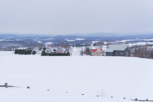 Biei is a small town surrounded by a picturesque landscape of gently rolling hills and vast fields. A pleasant way to enjoy the charm of Biei is by cycling or driving through the hills and visiting some of the flower fields and famous trees along the way.