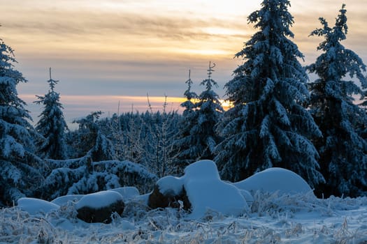 winter in the black forest