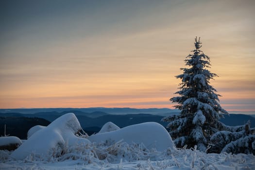 winter in the black forest