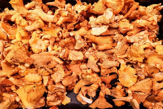 Large selection of edible mushrooms at the market stall