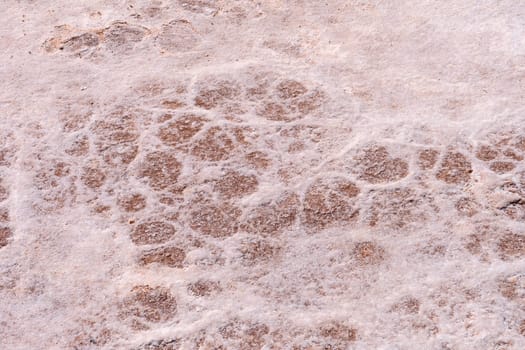Salt Deposits on a Desert Basin in Badwater Basin in Death Valley National Park in California