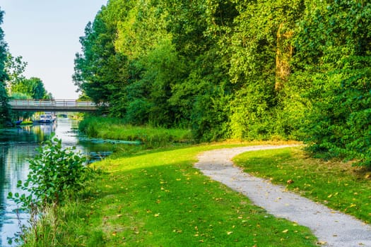 walking road bend with lake view in a beautiful forest landscape