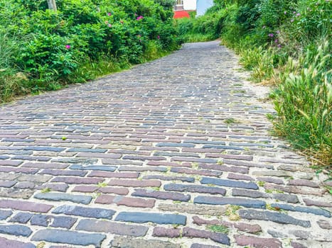 brick stone walking road in a green nature landscape close up view