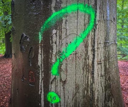 question mark on a tree trunk in the forest close up
