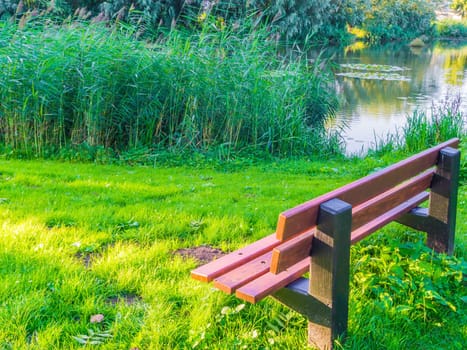 brown park bench at the park lake