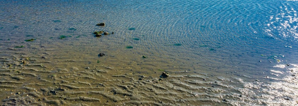 Sea water puddle texture or background