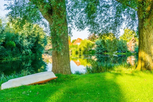 boat next to a tree in the park at the pond