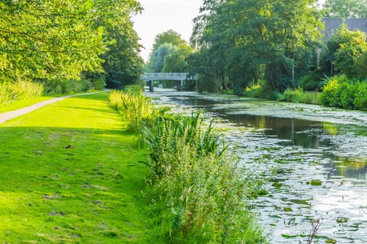 big river in a water landscape with grass and trees