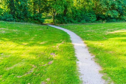 walking path with grass and trees park landscape