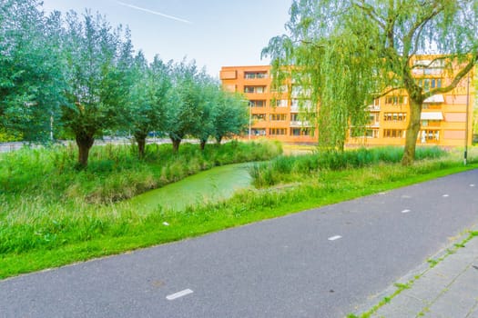 Grey asphalt way in a river landscape