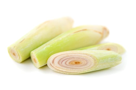 Fresh green lemongrass slices isolated on white background.