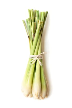 Fresh green lemongrass tied with rope, isolated on white background.