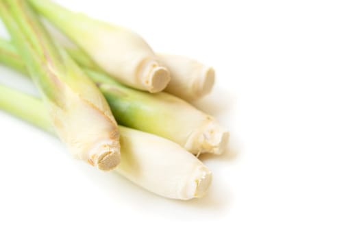 Fresh green lemongrass isolated on white background.