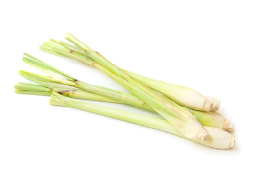 Fresh green lemongrass isolated on white background.