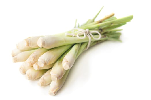 Fresh green lemongrass tied with rope, isolated on white background.